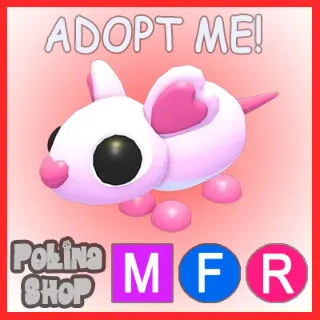 Sweetheart Rat MFR