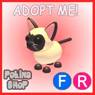 Siamese Cat FR