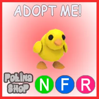 Chick NFR