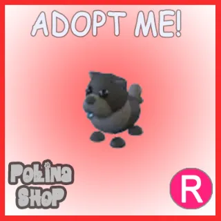 Black Chow-Chow R x4