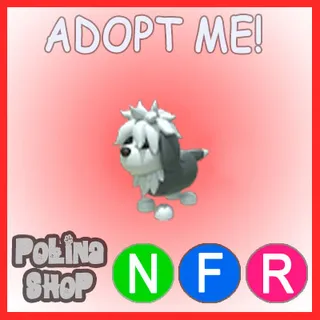English Sheepdog NFR