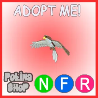 Hawk NFR
