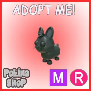 Amami Rabbit MR