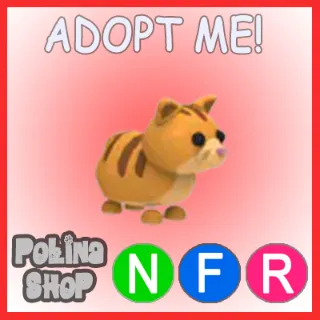 Ginger Cat NFR