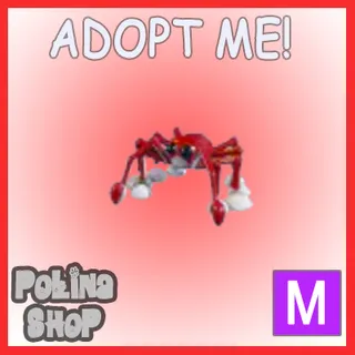 Spider Crab M