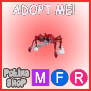 Spider Crab MFR