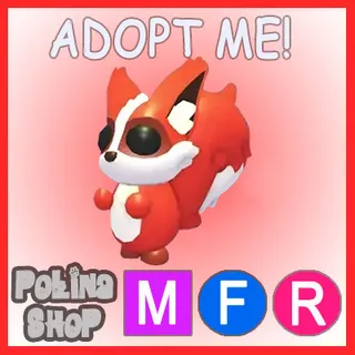 Ratatoskr MFR