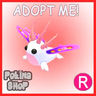 Sea Slug R