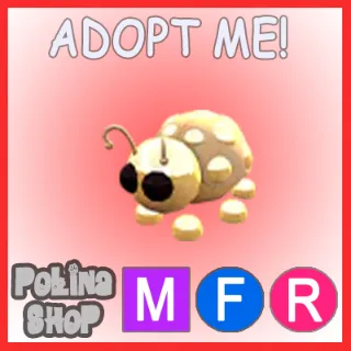 Golden Ladybug MFR