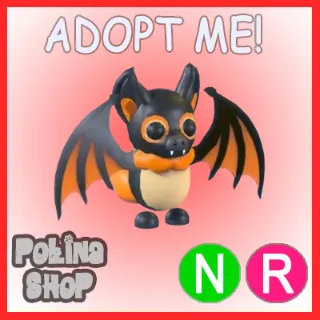 Indian Flying Fox NR