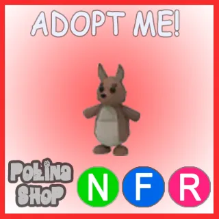 Kangaroo NFR