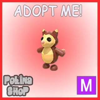 Tree Kangaroo M