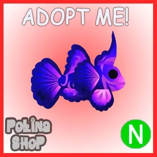 Singularity Pisces N 