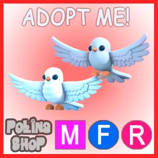 Turtle Doves MFR