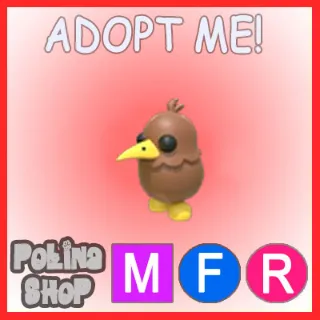 Kiwi MFR