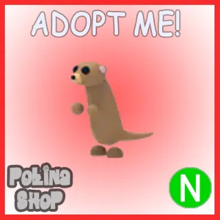 Meerkat N