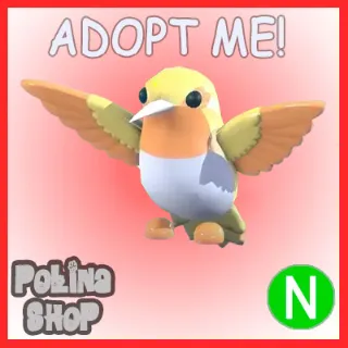 Golden Hummingbird N