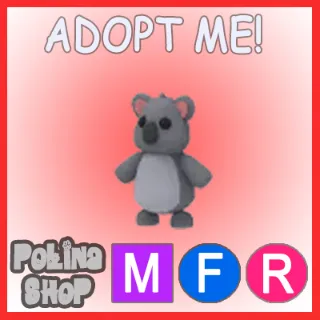 Koala MFR