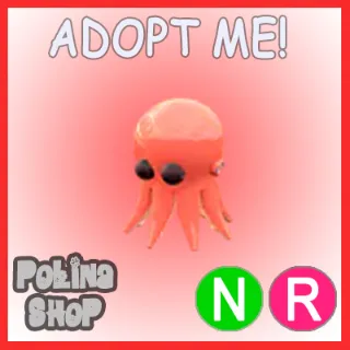 Octopus NR