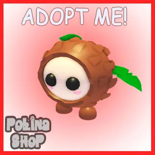 Coconut Friend x4