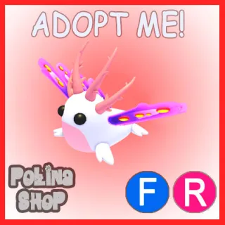 Sea Slug FR