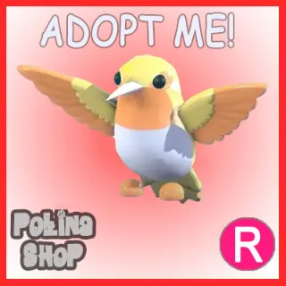 Golden Hummingbird R