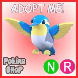 Diamond Hummingbird NR