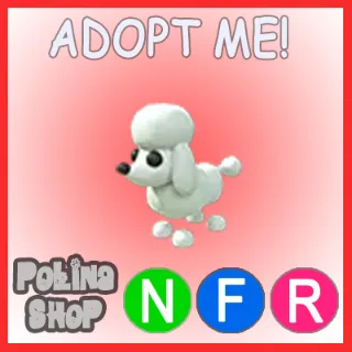 Poodle NFR