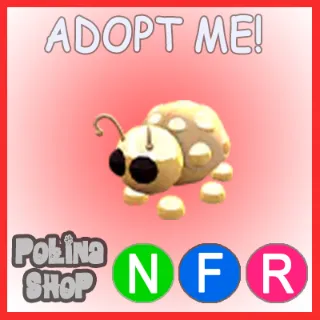 Golden Ladybug NFR