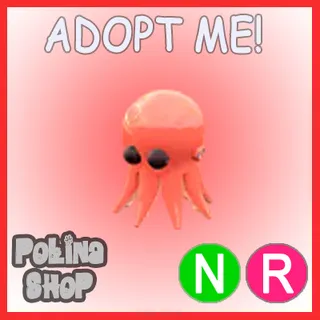 Octopus NR