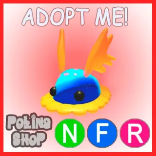 Seabed Creeper NFR