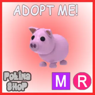 Pig MR