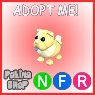 Golden Chow-Chow NFR