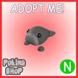 Dugong N