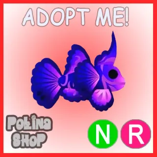 Singularity Pisces NR