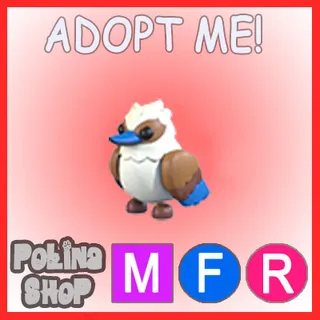 Kookaburra MFR