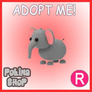 Elephant R