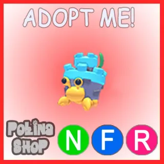 Castle Hermit Crab NFR