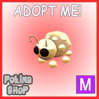 Golden Ladybug M