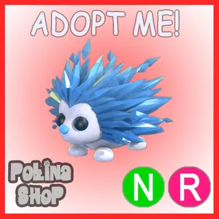 Icy Porcupine NR