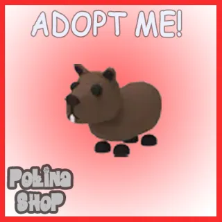 Capybara x4