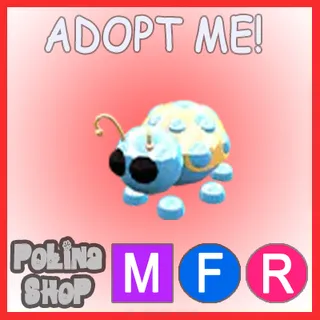 Diamond Ladybug MFR