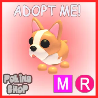French Bulldog MR