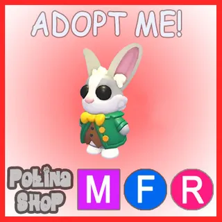 Mr. Whiskerpips MFR
