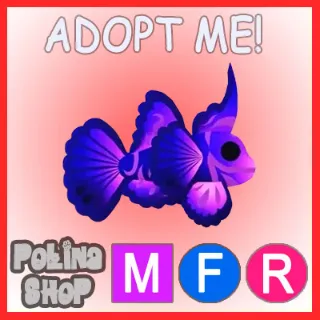 Singularity Pisces MFR