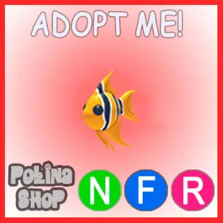 Angelfish NFR