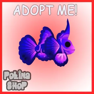 Singularity Pisces x4