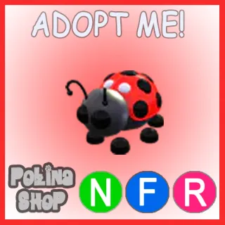 Ladybug NFR