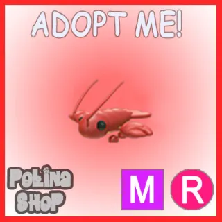 Lobster MR