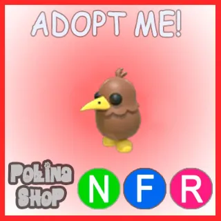 Kiwi NFR